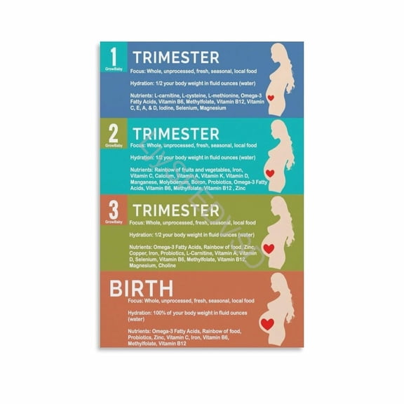 Pregnancy Trimester Nutrition Hydration Guide Poster Maternity Wellness Chart Canvas Painting Wall Art