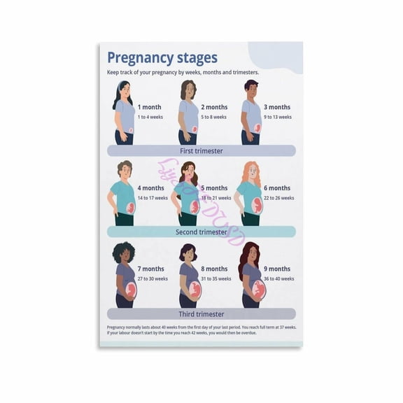 Pregnancy Trimester Weekly Development Chart Poster Canvas Painting Wall Art