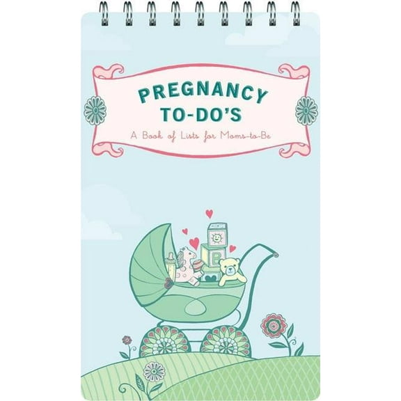 Pregnancy to-Do's : A Book of Lists for Moms-to-Be (Diary)