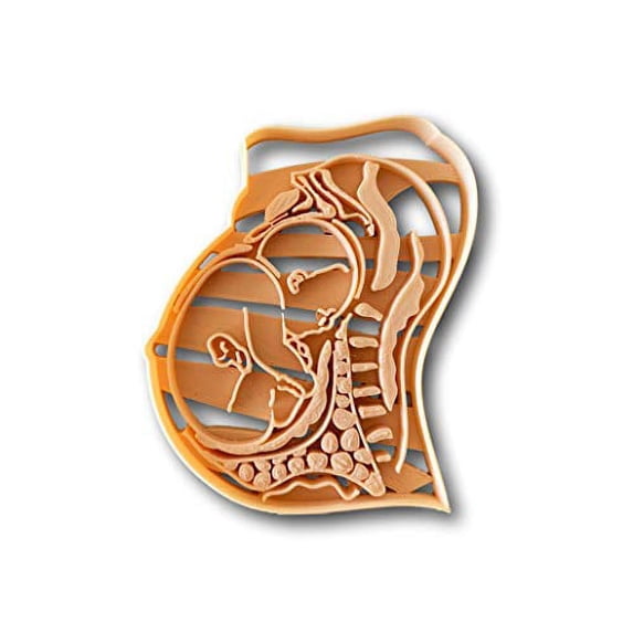 Pregnant womb fetus anatomy Cookie Cutter- Fast Shipping - Sharp Edges - Exceptional Quality