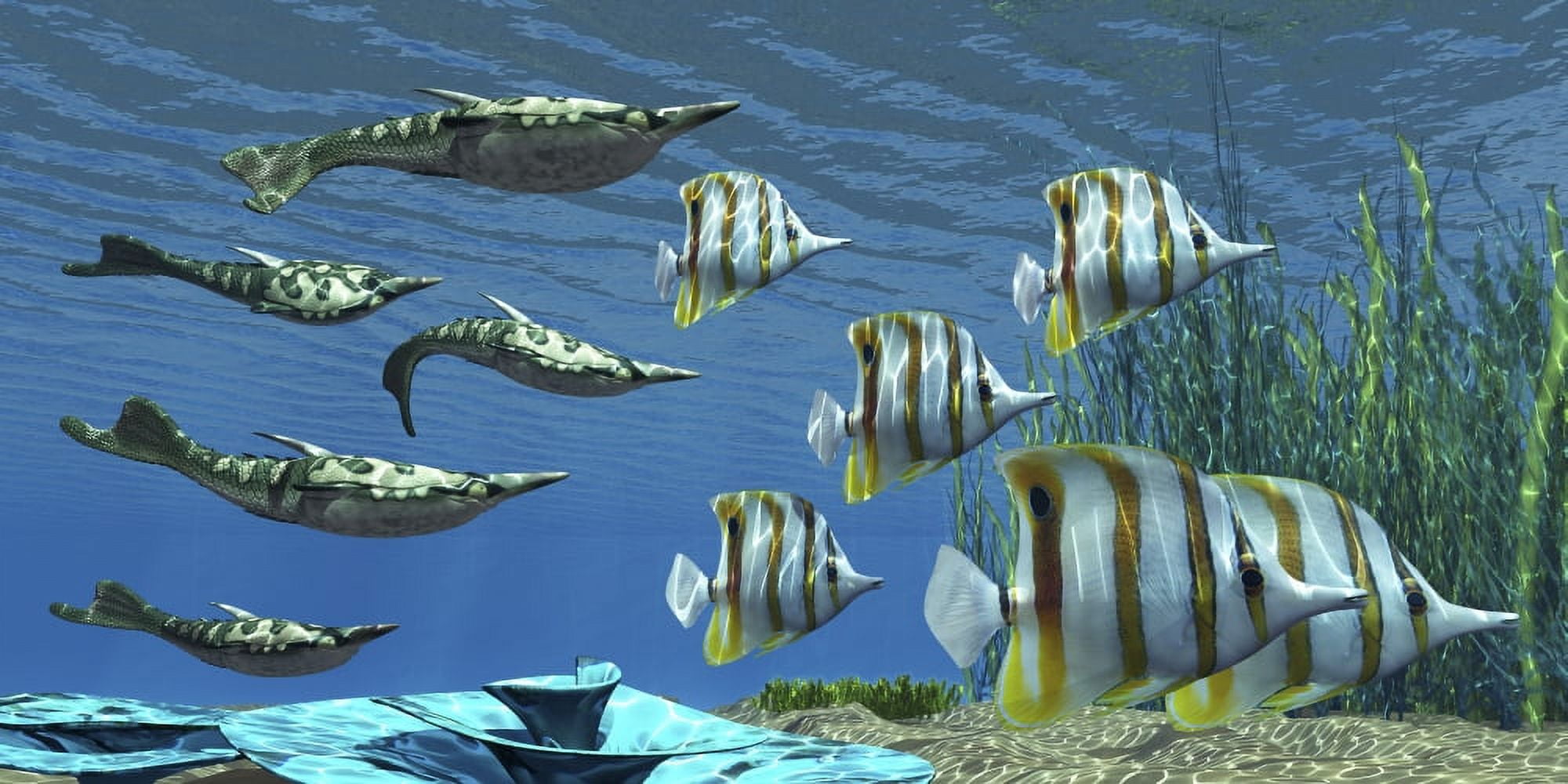 Prehistoric Pteraspis jawless fish swimming with a group of Chelmon Butterflyfish Canvas Art - Corey FordStocktrek Images (20 x 10)