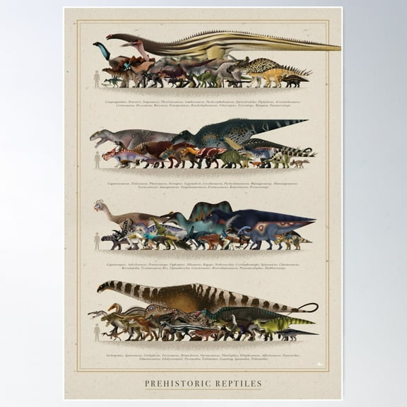 Prehistoric Reptiles Size Chart Poster Wall Art, Modern Wall Decor For Living Room Bedroom, 12x18 UNFRAMED