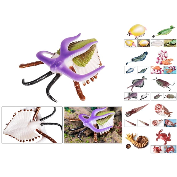 Prehistoric Sea Creatures Figurine Marrella Animal Figures Educational Ancient Model For Cake Topper School Project Toy Funny Curiosity