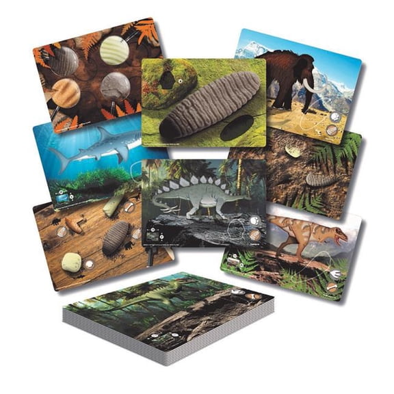 Prehistoric Teeth Explore & Discovr Figures