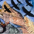 thumbnail image 1 of Prehistoricisms, 1 of 1