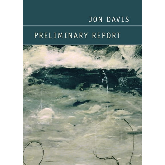 Preliminary Report (Paperback)