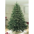 thumbnail image 1 of Prelit LED Pure White Sequoia Tree, 1 of 1