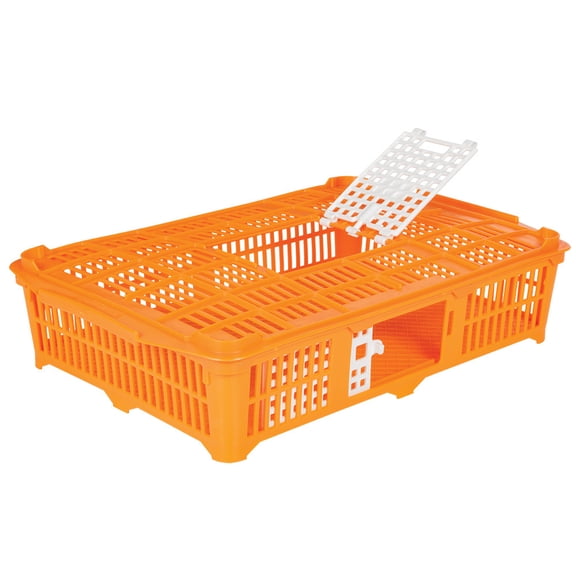 Premier 1 QuailCrate Poultry Transport Box for Small Game Birds and Baby Chicks