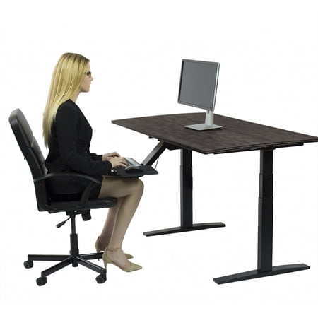 Premier 52" Black Dual Motor Electric Office Adjustable Standing Desk