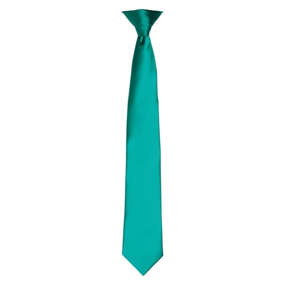 Premier Adult Satin Tie