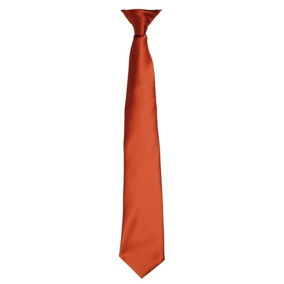 Premier Adult Satin Tie
