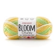 thumbnail image 1 of Bloom® Chunky, 1 of 10