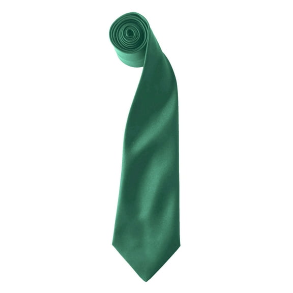 Premier Colors Mens Satin Clip Tie (Pack of 2)