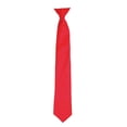 thumbnail image 1 of Premier Colors Mens Satin Clip Tie, 1 of 4