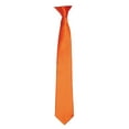 thumbnail image 1 of Premier Colors Mens Satin Clip Tie, 1 of 4