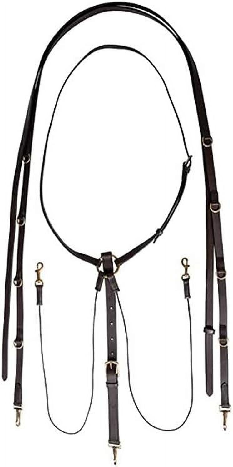 Premier German Expert Horse Training Aid Encourages Proper Head Set