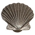 thumbnail image 1 of Premier Hardware Designs PHDK-34-AB Sea Shell Cabinet Knob&#44; Antique Brass, 1 of 1