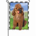 thumbnail image 1 of Premier Garden Size Flag - Jenna Poodle, 1 of 1