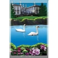 thumbnail image 1 of Premier Illuminated Garden Flag - Swan Lake, 1 of 1