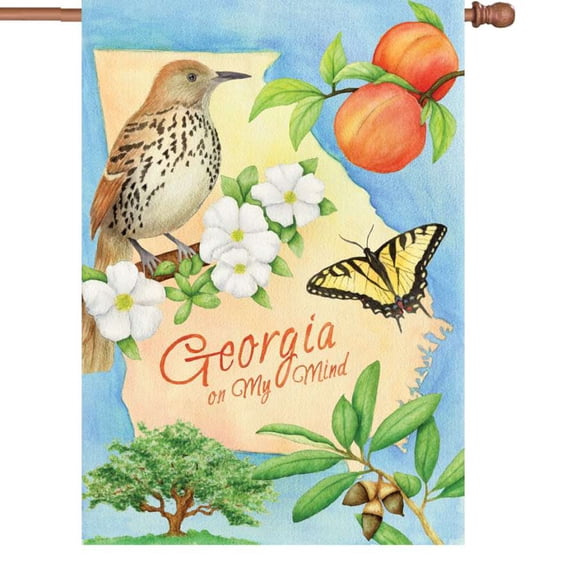 Premier House Size Flag - Georgia