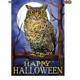 thumbnail image 1 of Premier Kites & Designs 28 Inch Halloween House Flag - Owl and Moon Halloween, 1 of 1