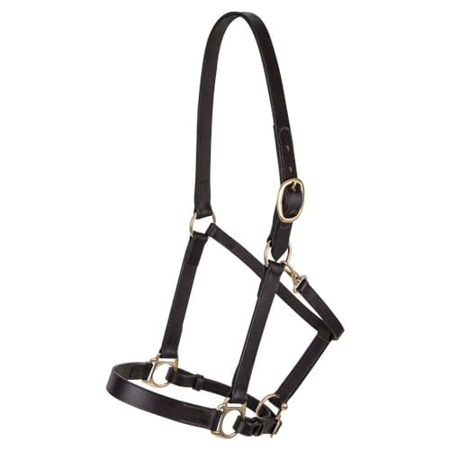Premier Lancaster Leather Halter for Horses | Simple Economy Leather Halter with Adjustable Fit & Solid Brass Hardware