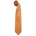thumbnail image 1 of Premier Mens “Colors” Plain Fashion / Business Tie (Pack of 2), 1 of 4