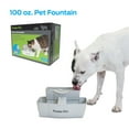 thumbnail image 1 of Premier Pet 100 oz. Pet Fountain- Dog - Automatic Water Fountain for Dogs and Cats, 1 of 12