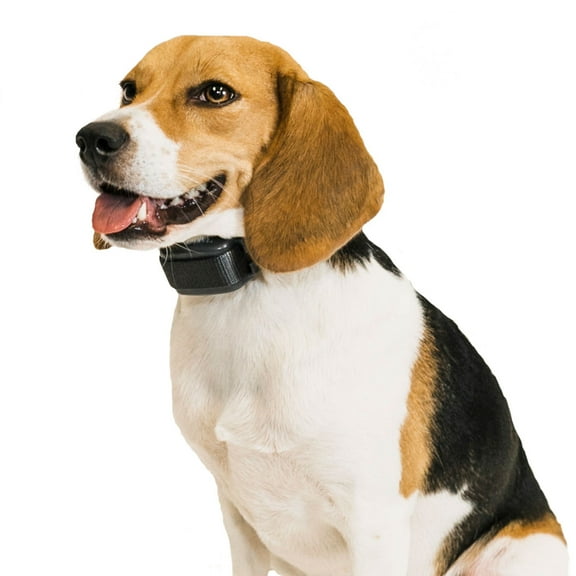 Premier Pet Bark Collar - Adjustable For Small to Large Dogs - Made for Dogs 6 Months and Older