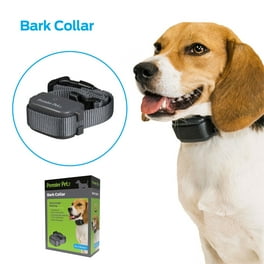 Citronella bark collar walmart store