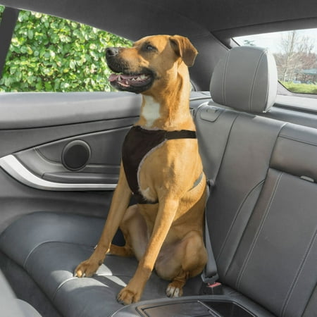 Premier Pet Car Safety Harness for Medium Dogs - Keeps Your Dog Secure - Black
