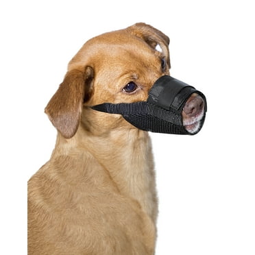Premier Pet Dog Muzzle for Medium Dogs - Padded Nylon for Safe, Comfortable Fit - Allows Panting; Stops Biting, Nipping and Barking - Adjustable at Neck and Snout