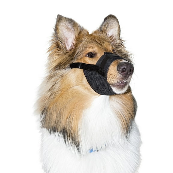 Premier Pet Dog Muzzle for Large Dogs - Padded Nylon for Safe, Comfortable Fit