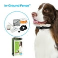 thumbnail image 1 of Premier Pet In-Ground Fence for Dogs, Customizable .33 Acre Barrier, Waterproof Collar, Gray, 1 of 9