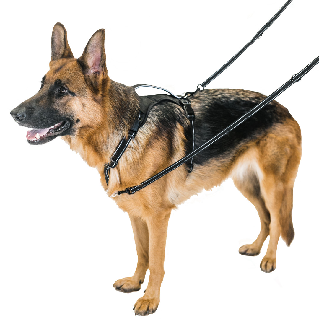 Premier Pet Multi-Functional Leash for Dogs up to 75 lb. - Adjustable Length - image 1 of 7
