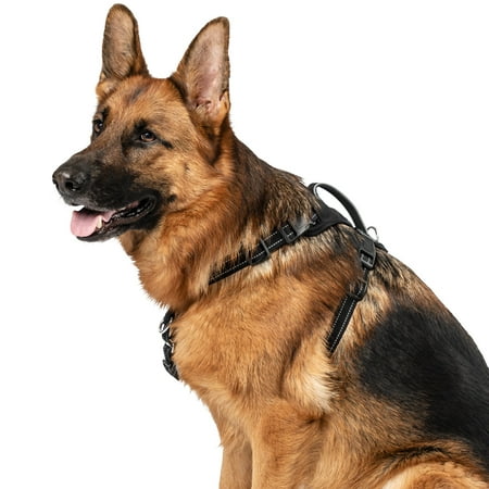 Premier Pet No Pull Comfort Harness for Large Dogs- Padded with Reflective Stitching