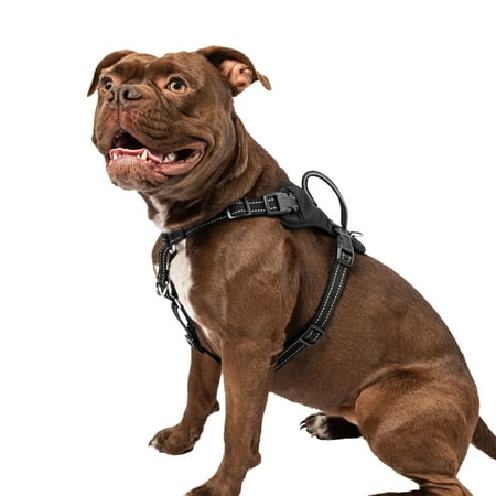 Premier Pet No Pull Comfort Harness for Medium Dogs- Padded with Reflective Stitching