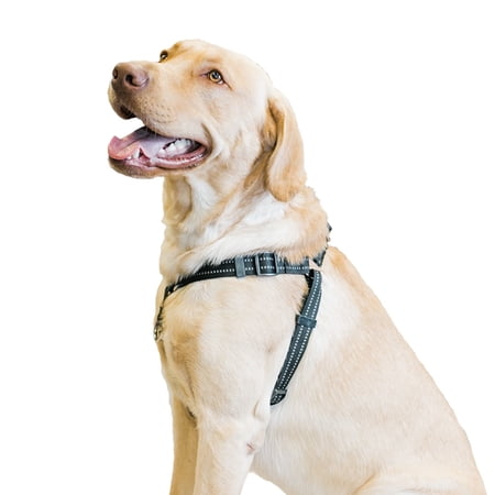Premier Pet No Pull Step-in Harness for Large Dogs - Best for Dogs 70+ lb.