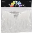 thumbnail image 1 of Premier Porcelain Touch of Nature Feather 7x6 White 1pc Mini Wings, 1 of 2