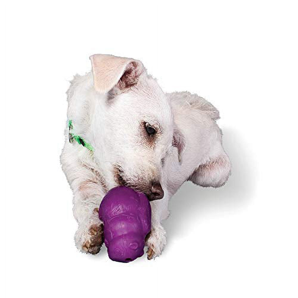 Premier Squirrel Dude Dog Toy Small Walmart