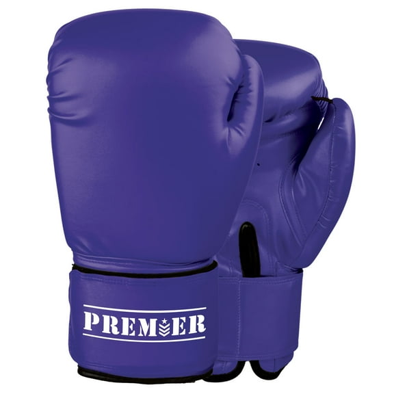 Premier Training Boxing Gloves