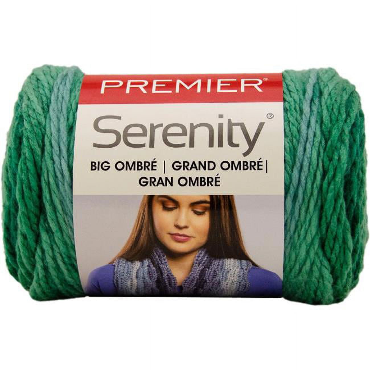 Premier Yarn Serenity Chunky Ombre Big Wintergreen Walmart