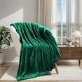 thumbnail image 1 of Premium 100% Micro-Polyester Fleece Blanket, Ultra-Plush , Soft, Breathable, All-Season, Perfect for Bed or Couch, Blanket Set , Throw, Evergreen by Blue Nile Mills, 1 of 7