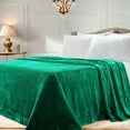thumbnail image 1 of Premium 100% Micro-Polyester Fleece Blanket, Ultra-Plush , Soft, Breathable, All-Season, Perfect for Bed or Couch, Blanket Set , Twin, Evergreen by Blue Nile Mills, 1 of 7