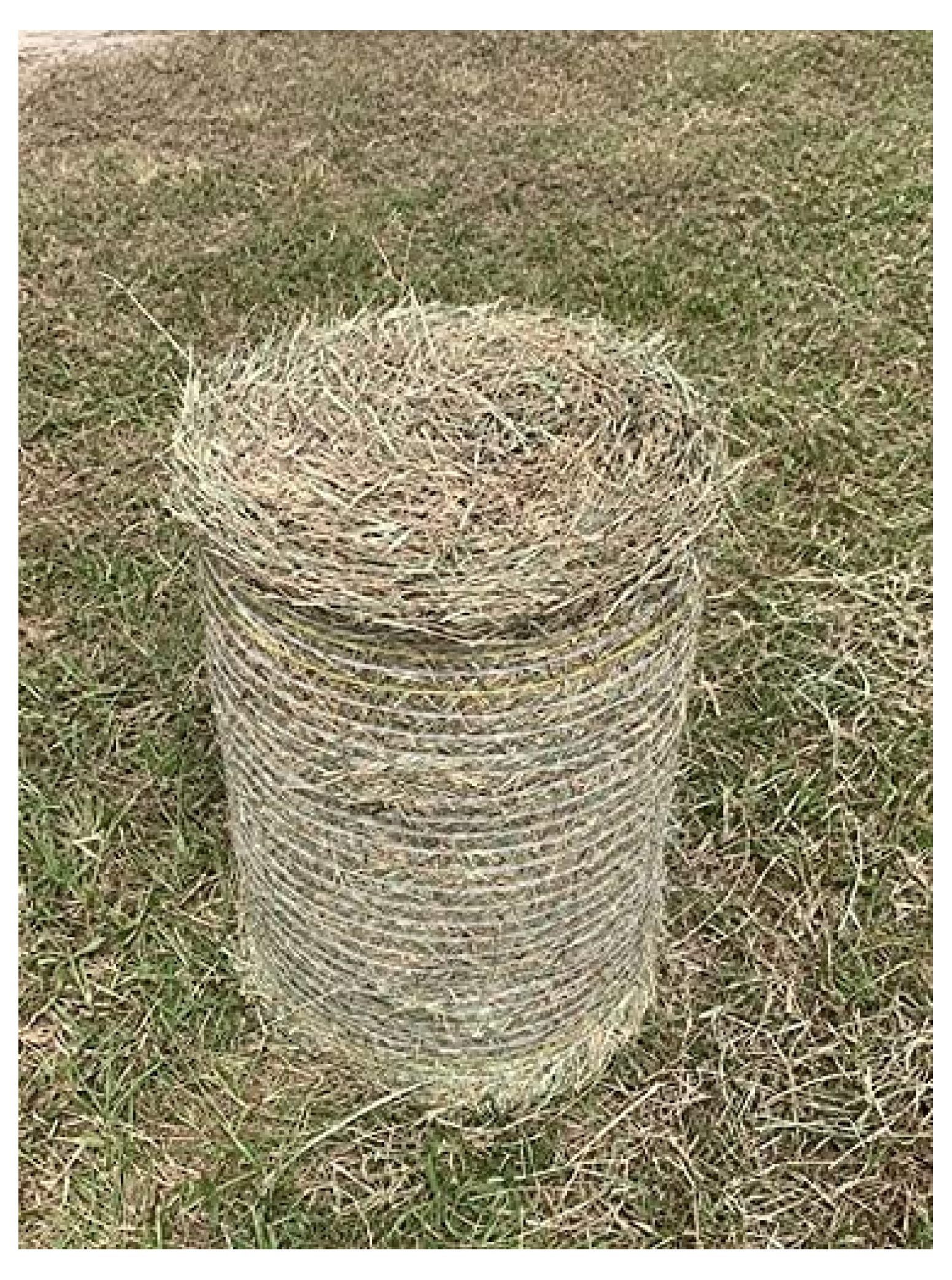 Premium, 100 Natural Coastal Bermuda HAY ROLL (Approximately 30lb) for