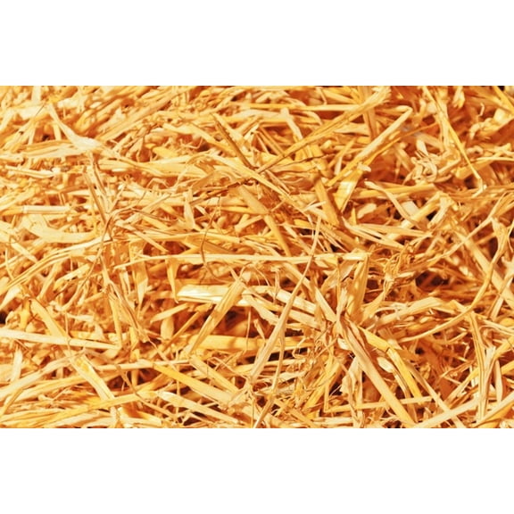 Premium 100% Natural Straw for Animal Bedding, Garden Mulch, Compost & Fertilizer, and Grass Cover (Compressed Bale)