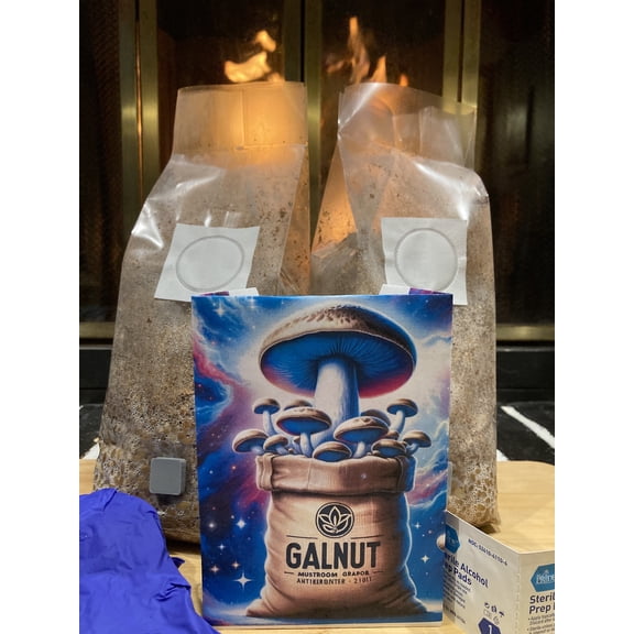 Premium 2 -Pack All-in-One Mushroom Grow Bags