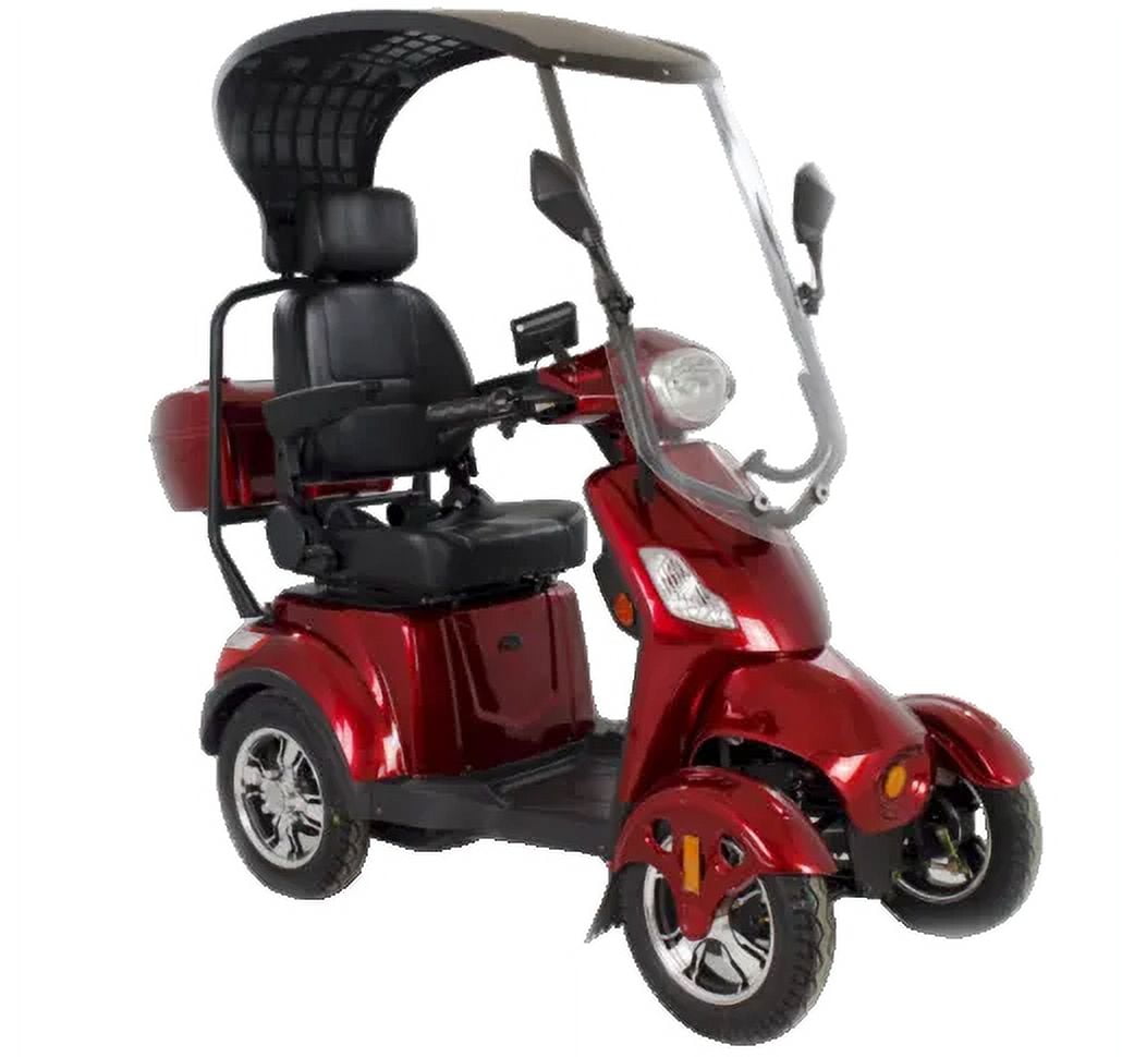 Premium 4-Wheel Electric Scooter with Canopy & Regular Tires | Luxuryton X-1000 Series