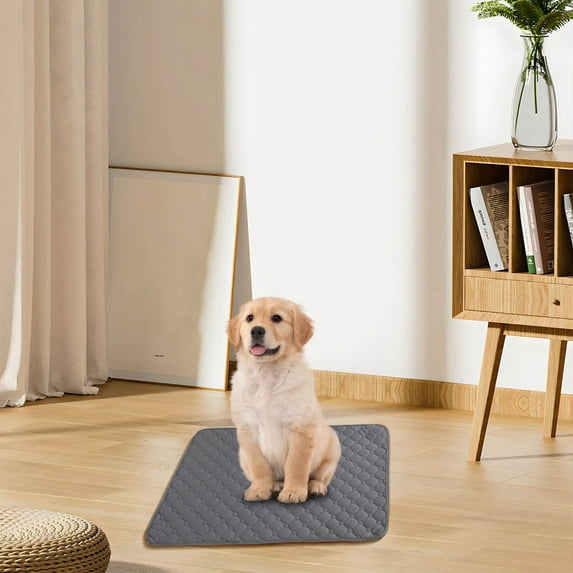 Premium Absorbent Pet Mat with Soft Fabric, Thickened Odor Control, Washable & Durable for Dogs & Cats - Indoor, Car & Outdoor Use