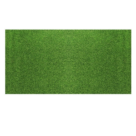 Premium Artificial Grass Rug Indoor Outdoor Synthetic Turf Carpet, Realistic Look for Lawn, Patio, Balcony, 6x8 ft